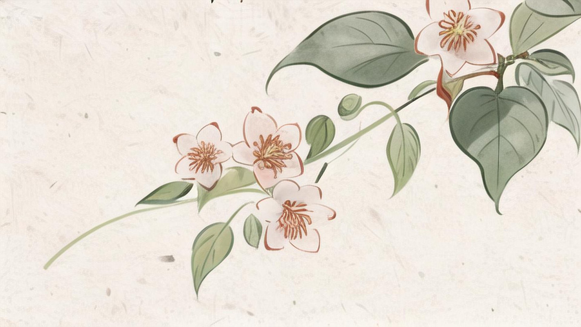 为你而美鲜花