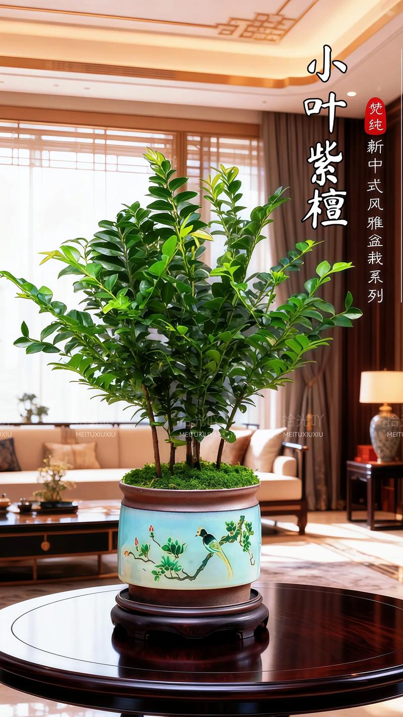 开业花篮选购全攻略